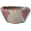Square multicolor bonsai pot by Bonsai - 120 x 115 x 55 mm
