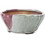 Pot à bonsaï carré multicolore par Bonsai - 120 x 115 x 55 mm