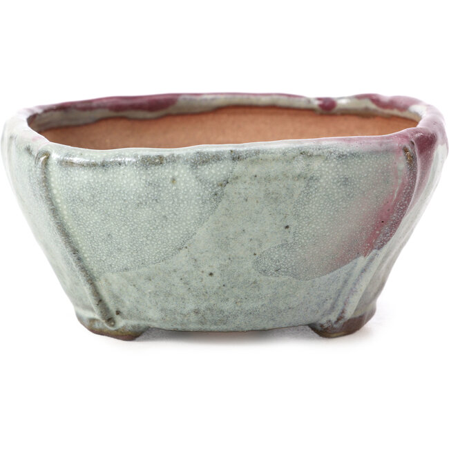 Square multicolor bonsai pot by Bonsai - 120 x 115 x 55 mm