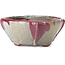 Pot à bonsaï carré multicolore par Bonsai - 120 x 115 x 55 mm