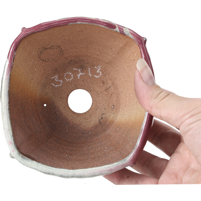 Maceta de bonsái cuadrada multicolor de Bonsai - 120 x 115 x 55 mm