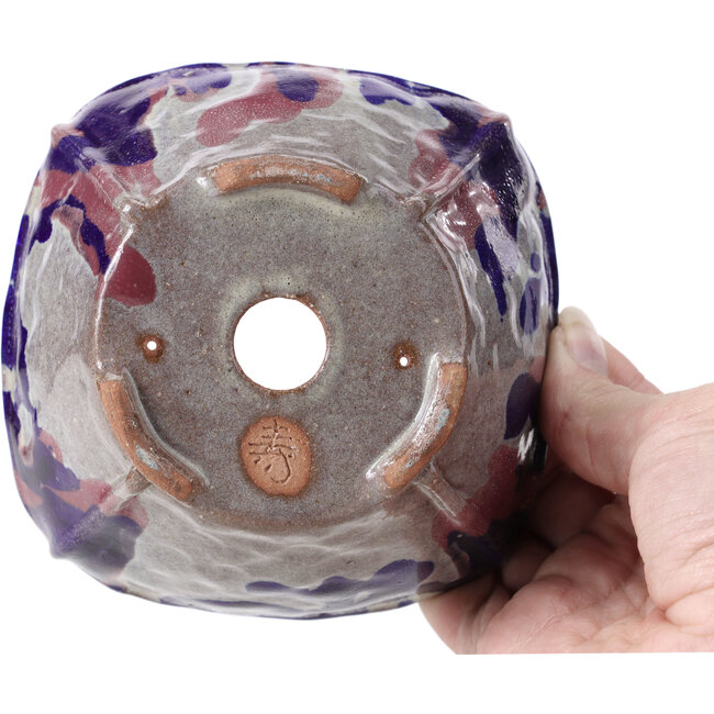 Vaso per bonsai quadrato multicolore di Bonsai - 120 x 120 x 73 mm