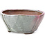 Square multicolor bonsai pot by Bonsai - 118 x 118 x 52 mm