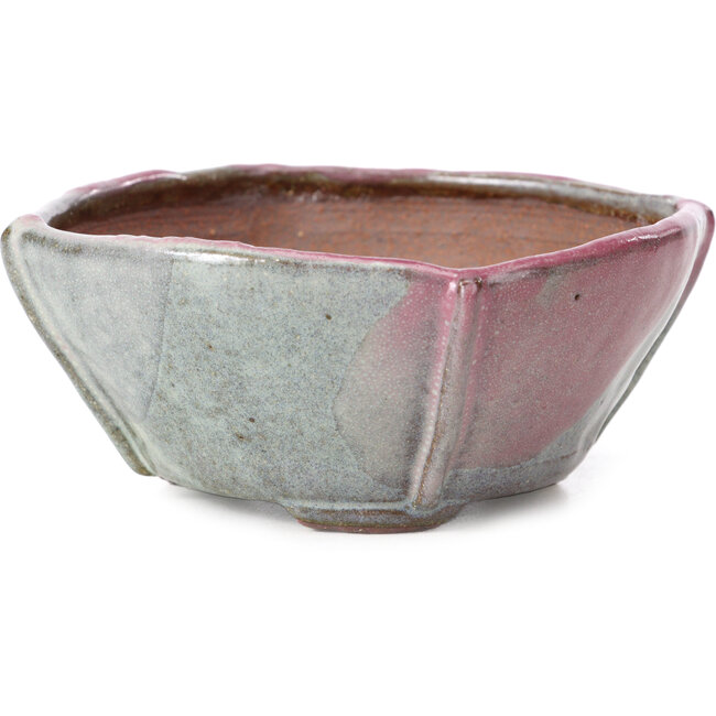 Maceta de bonsái cuadrada multicolor de Bonsai - 118 x 118 x 52 mm