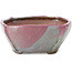 Square multicolor bonsai pot by Bonsai - 118 x 118 x 52 mm