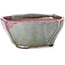 Square multicolor bonsai pot by Bonsai - 118 x 118 x 52 mm