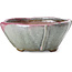 Square multicolor bonsai pot by Bonsai - 118 x 118 x 52 mm