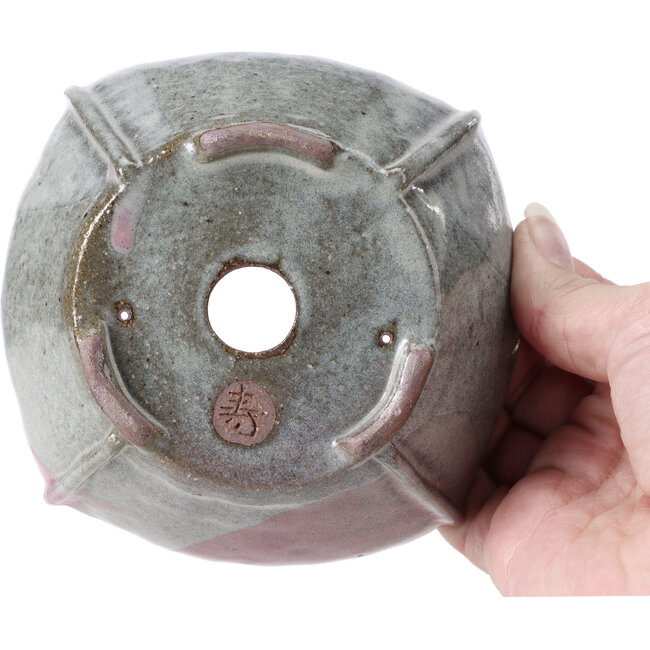 Maceta de bonsái cuadrada multicolor de Bonsai - 118 x 118 x 52 mm