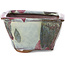 Pot à bonsaï carré multicolore par Bonsai - 112 x 112 x 65 mm