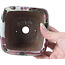 Pot à bonsaï carré multicolore par Bonsai - 112 x 112 x 65 mm