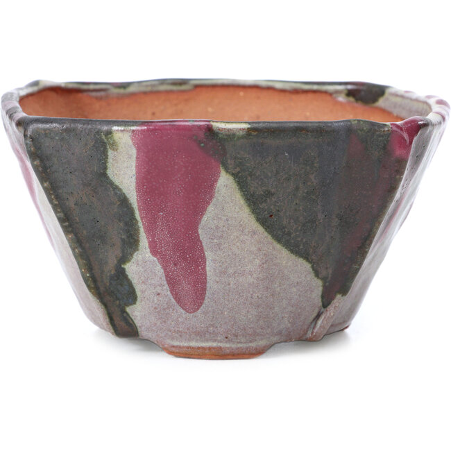 Maceta de bonsái cuadrada multicolor de Bonsai - 126 x 126 x 74 mm