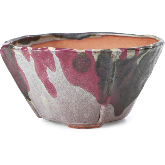 Vaso per bonsai quadrato multicolore di Bonsai - 126 x 126 x 74 mm