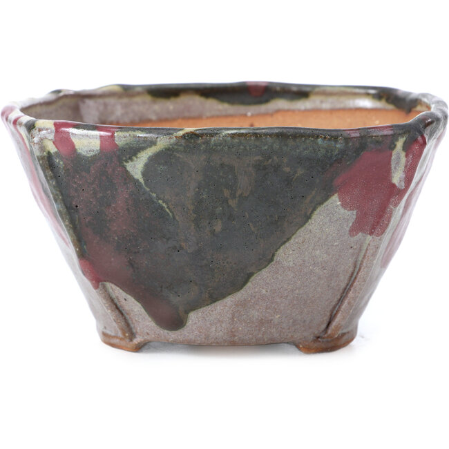 Maceta de bonsái cuadrada multicolor de Bonsai - 126 x 126 x 74 mm