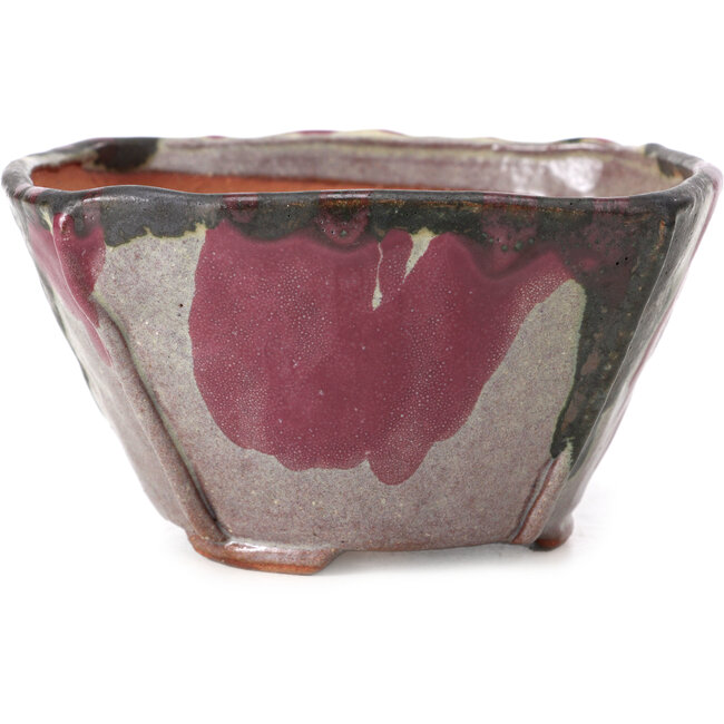 Pot à bonsaï carré multicolore par Bonsai - 126 x 126 x 74 mm