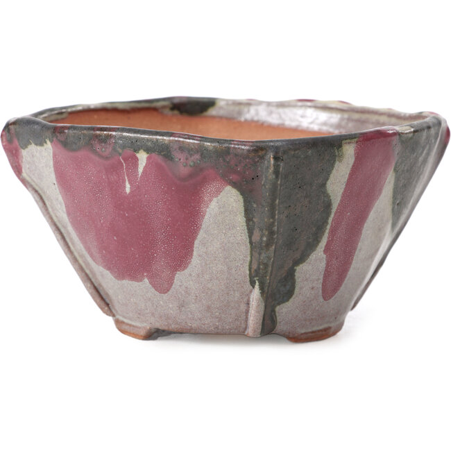 Vaso per bonsai quadrato multicolore di Bonsai - 126 x 126 x 74 mm