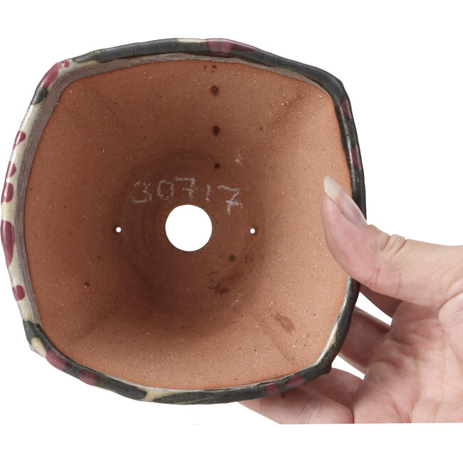 Square multicolor bonsai pot by Bonsai - 126 x 126 x 74 mm