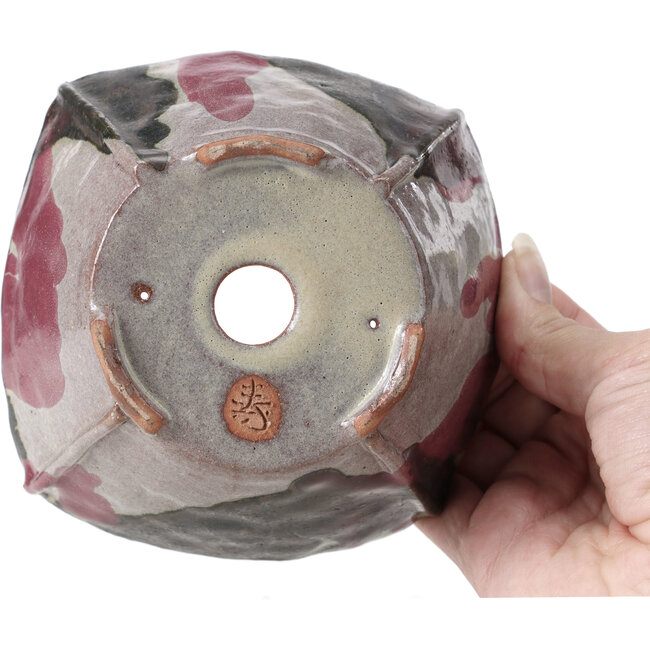 Pot à bonsaï carré multicolore par Bonsai - 126 x 126 x 74 mm