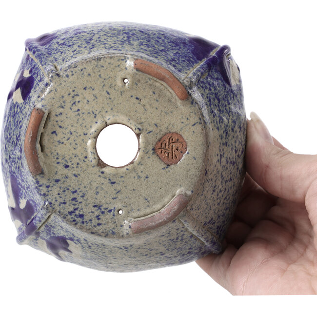 Pot à bonsaï carré multicolore par Bonsai - 115 x 115 x 60 mm