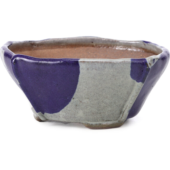 Vaso per bonsai quadrato blu e grigio di Bonsai - 115 x 116 x 52 mm