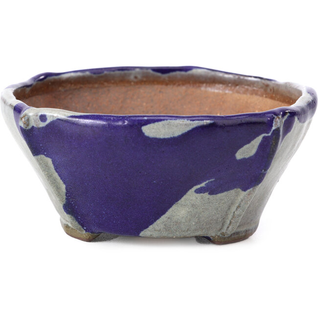 Vaso per bonsai quadrato blu e grigio di Bonsai - 115 x 116 x 52 mm