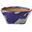 Pot à bonsaï carré bleu et gris par Bonsai - 115 x 116 x 52 mm