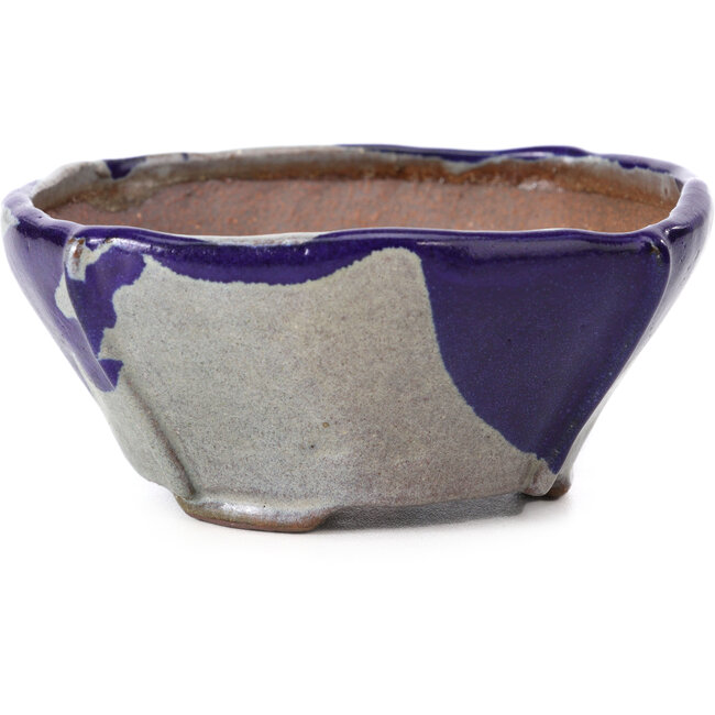 Pot à bonsaï carré bleu et gris par Bonsai - 115 x 116 x 52 mm