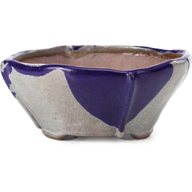 Maceta de bonsái cuadrada azul y gris de Bonsai - 115 x 116 x 52 mm