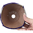 Vaso per bonsai quadrato blu e grigio di Bonsai - 115 x 116 x 52 mm