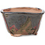 Maceta de bonsái cuadrada negra y marrón de Bonsai - 115 x 115 x 68 mm