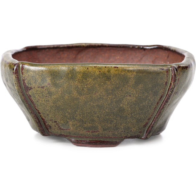 Pot à bonsaï carré marron par Bonsai - 116 x 116 x 54 mm