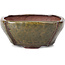 Square brown bonsai pot by Bonsai - 116 x 116 x 54 mm