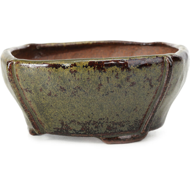 Maceta de bonsái cuadrada marrón de Bonsai - 116 x 116 x 54 mm