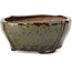 Pot à bonsaï carré marron par Bonsai - 116 x 116 x 54 mm