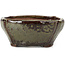 Square brown bonsai pot by Bonsai - 116 x 116 x 54 mm