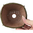Pot à bonsaï carré marron par Bonsai - 116 x 116 x 54 mm