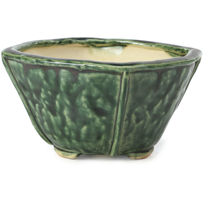 Maceta de bonsái verde cuadrada de Bonsai - 117 x 117 x 72 mm