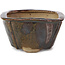 Pot à bonsaï carré marron par Bonsai - 111 x 111 x 64 mm