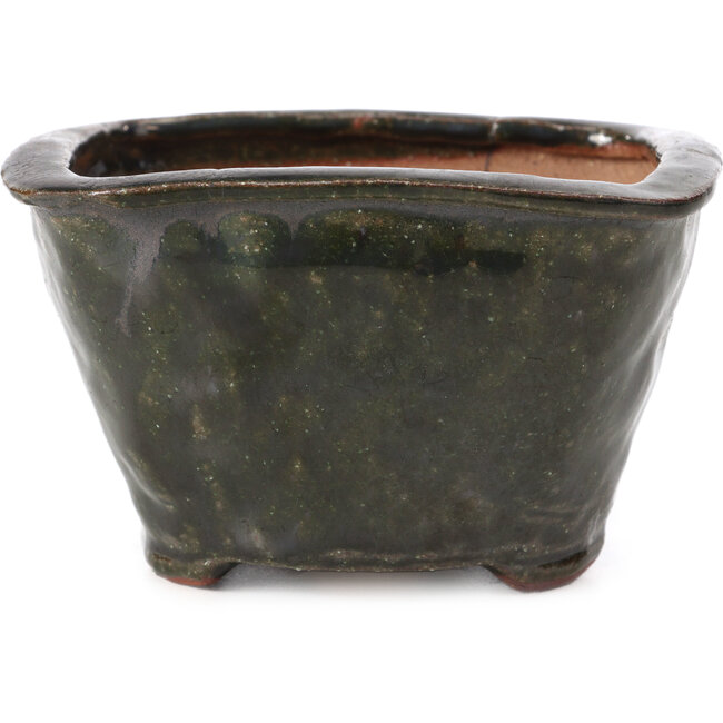 Quadratische grüne Bonsaischale von Bonsai - 115 x 105 x 71 mm