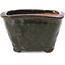 Vaso per bonsai quadrato verde di Bonsai - 115 x 105 x 71 mm