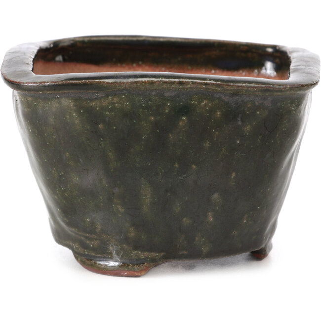 Square green bonsai pot by Bonsai - 115 x 105 x 71 mm