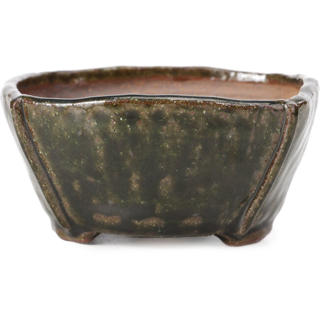 Maceta de bonsái cuadrada verde oliva de Bonsai - 108 x 105 x 55 mm