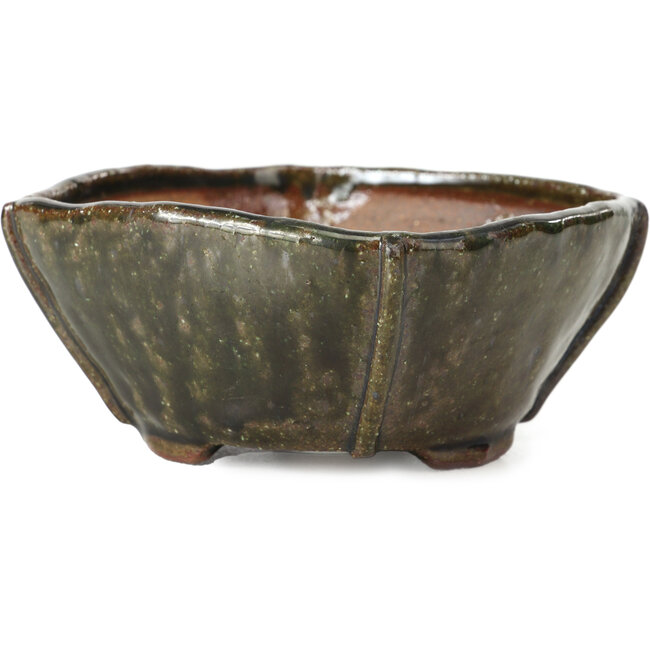 Maceta de bonsái cuadrada verde oliva de Bonsai - 108 x 105 x 55 mm