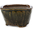 Square olive green bonsai pot by Bonsai - 110 x 105 x 67 mm