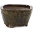 Square olive green bonsai pot by Bonsai - 110 x 105 x 67 mm