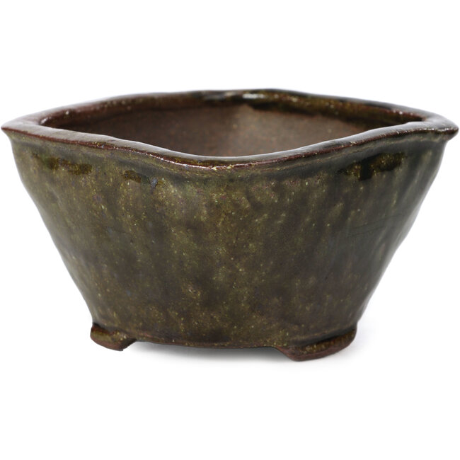 Maceta de bonsái cuadrada verde oliva de Bonsai - 110 x 105 x 67 mm