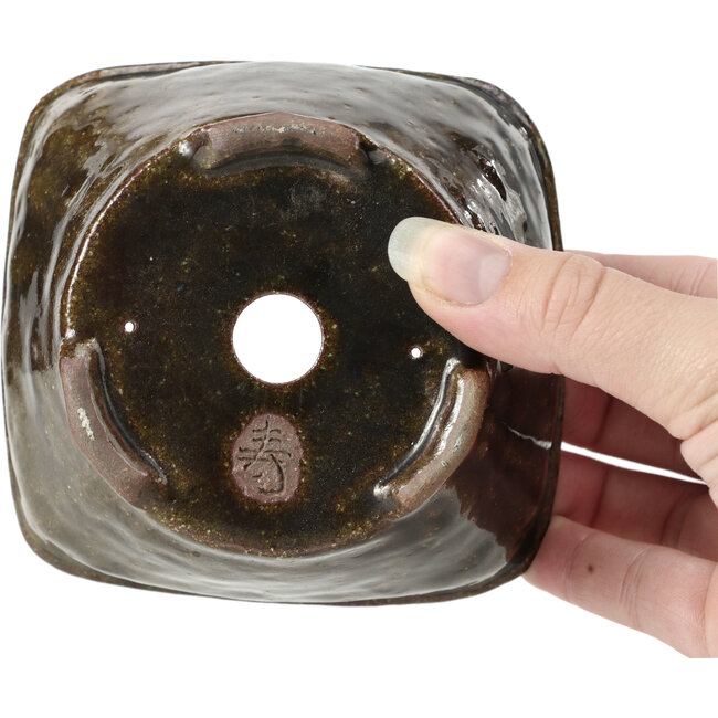 Vaso per bonsai quadrato verde oliva di Bonsai - 110 x 105 x 67 mm