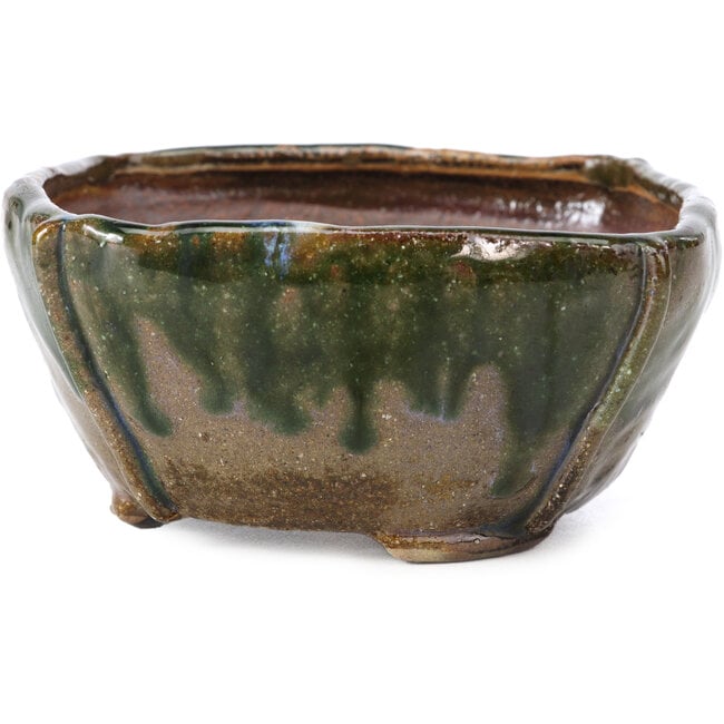 Vierkante multicolor groene bonsai pot van Bonsai - 107 x 110 x 55 mm