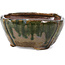 Pot à bonsaï carré multicolore vert par Bonsai - 107 x 110 x 55 mm