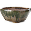 Vierkante multicolor groene bonsai pot van Bonsai - 107 x 110 x 55 mm