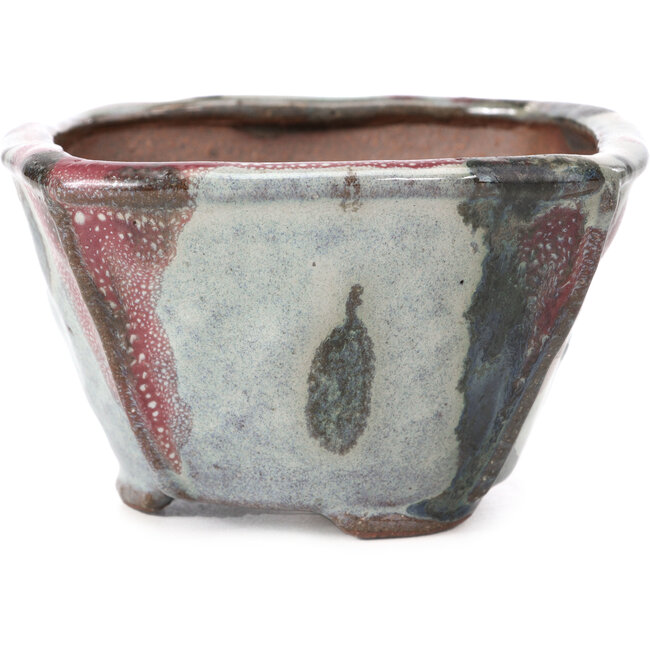 Vaso per bonsai quadrato multicolore di Bonsai - 113 x 110 x 64 mm